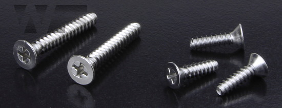 Phillips Csk Self Tapping Screws with Dog Point (Type F) ISO 7050 (DIN 7982H) in A2 image