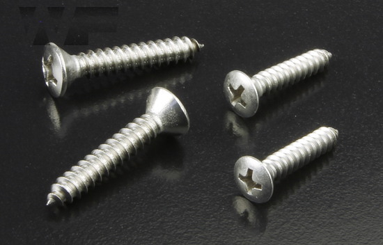 Phillips Raised Csk Self Tapping Screws DIN 7983 in A2 image