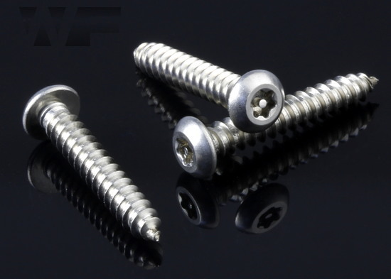 Pin Torx Security Button Head Self Tapping Screw (AB) in A2 image