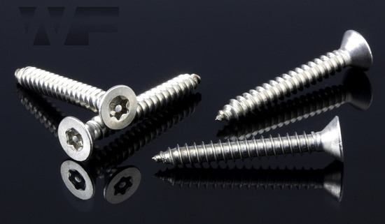 Pin Torx Security Countersunk Self Tapping Screws (AB) in A2 image