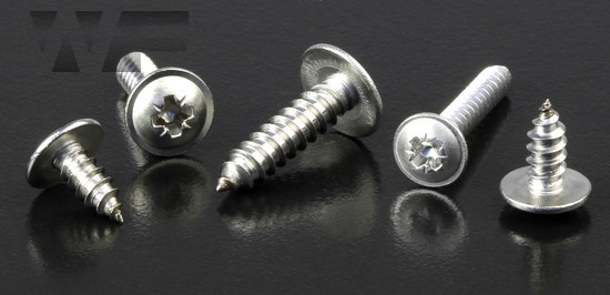 Pozi Pan Head Self Tapping Screws with Flange Type C in A2 image