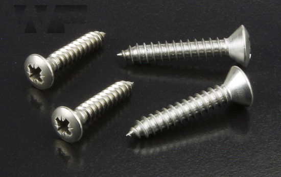 Pozi Raised Csk Self Tapping Screws DIN 7983Z in A2 image