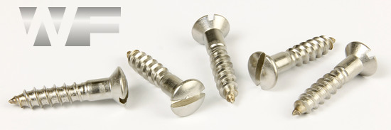 Slotted Raised Countersunk Wood Screws DIN 95 in A2 image