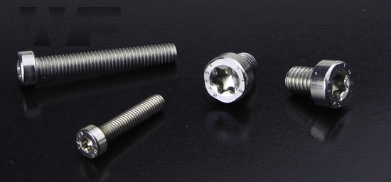 Torx Cap Screws With Low Head ISO 14580 (sim. DIN 7984) in A2 image