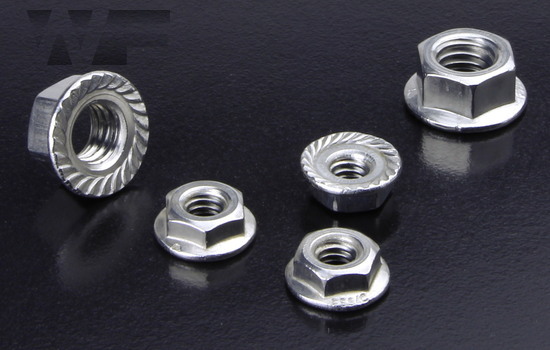 UNC Hex Serrated Flange Nuts in A2 image