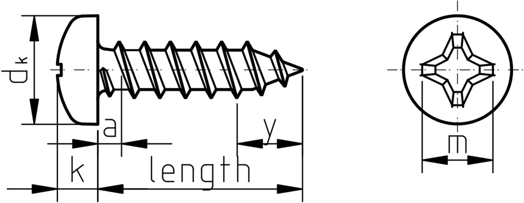 Figure 1: Phillips Pan Head Self Tapping Screw Type C