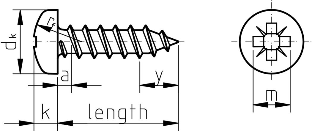 Figure 1: Pozi Pan Self Tapping Screw Type C