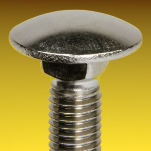 image of Coach Bolts DIN 603 with full thread