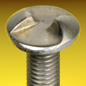 image of One Way Security Screws