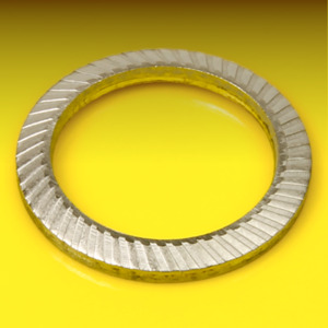 image of Schnorr Safety Washer Type S