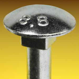 image of Coach Bolts DIN 603