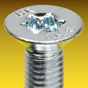 image of Torx Csk Head Screws Sim. ISO 10642 / ISO 14581
