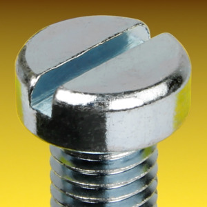 image of Slotted Cheese Head Machine Screws DIN 84