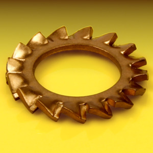 image of External Serrated Lock Washer