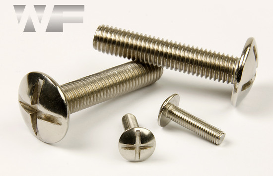 Double Slot Mushroom Head Screws NF E 25-129 in A2 image