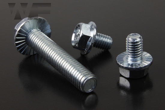 Hex Head Flange Bolts with Serrations EN 1665 / DIN 6921 in BZP-8.8 image