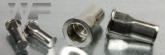 Rivet Nut Hex with Flat Head, Closed Type in A4 image