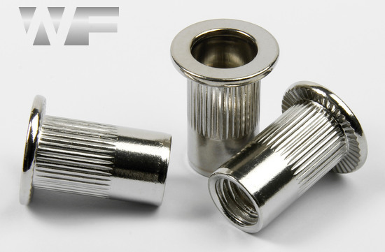 Rivet Nut Knurled with Flat Head, Open Type in A2 image