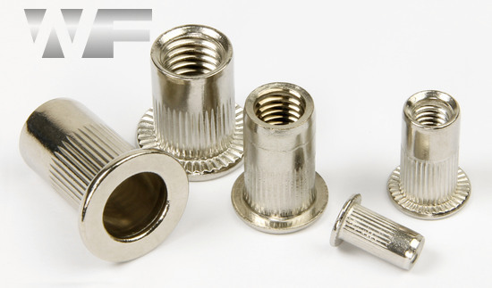 Rivet Nut Knurled with Flat Head, Open Type in A4 image
