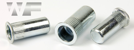 Rivet Nut Knurled with Full Countersunk Head, Closed Type in BZP image