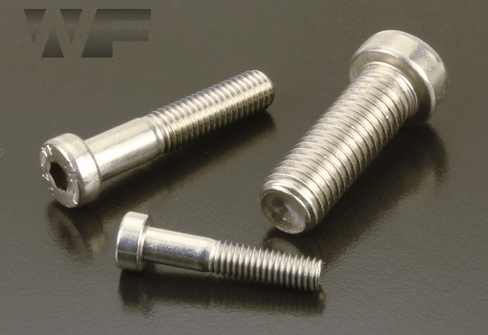 Socket Low Head Cap Screws DIN 7984 in A4 image