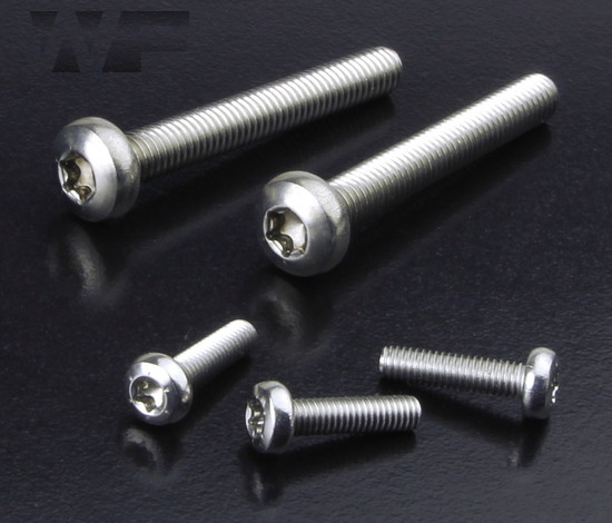 Torx Pan Head Screws Sim. DIN 7985 in A4 image